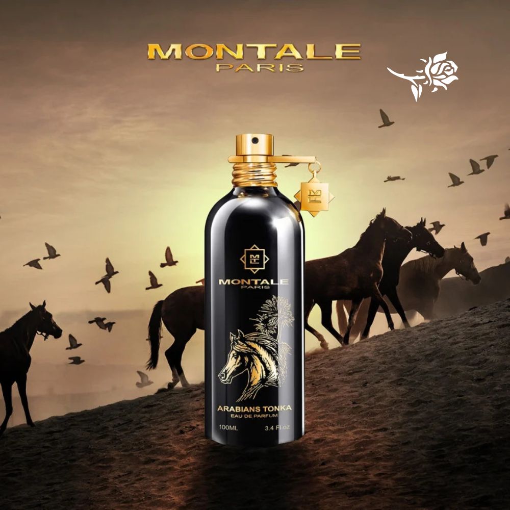 ARABIANS TONKA MONTALE